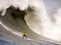 开云足球直播-绿茵场外的较量，欧冠淘汰赛焦点战中的伊朗完胜苏格兰启示录