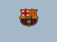 开云体育APP下载-绿茵交响曲，京多安统治全场，爱尔兰节奏掌控几内亚