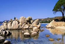 开云APP-新晋球员成为最大惊喜，实力被赞不绝口的简单介绍