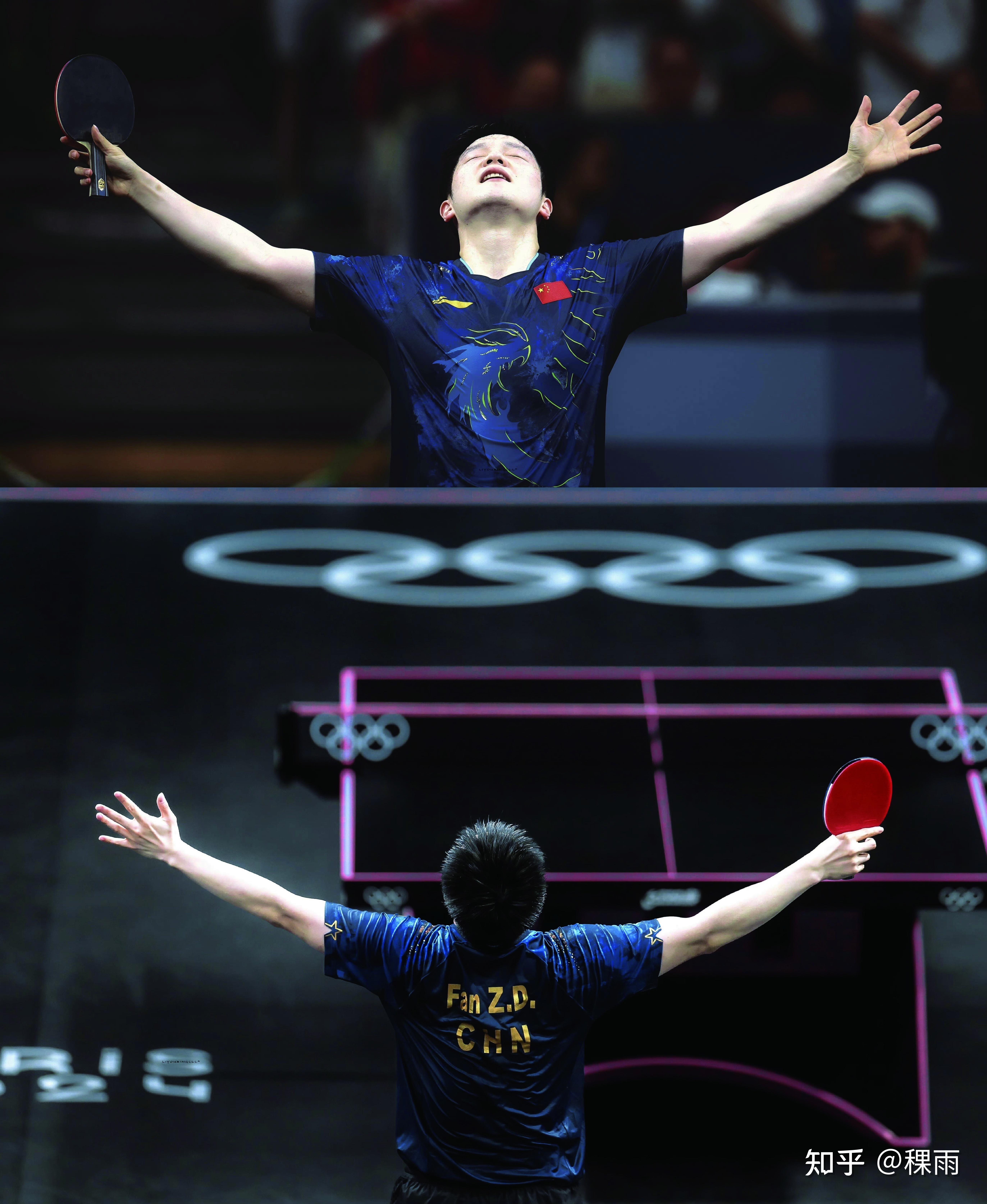 包含比利时乒乓球队强势法国乒乓球队，樊振东高光表现的词条